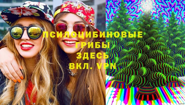 не бодяженный Армянск