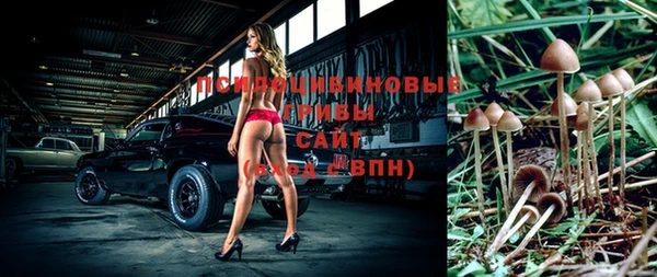 не бодяженный Армянск