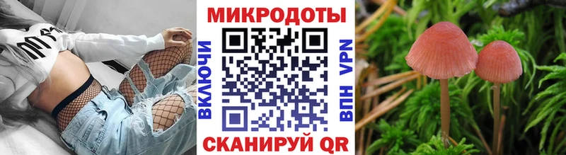 Галлюциногенные грибы Psilocybine cubensis  Старая Русса 